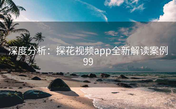 深度分析:探花视频app全新解读案例99 第2张 深度分析:探花视频app全新解读案例99 第2张