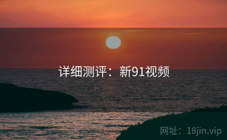 详细测评：新91视频