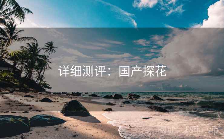 详细测评:国产探花