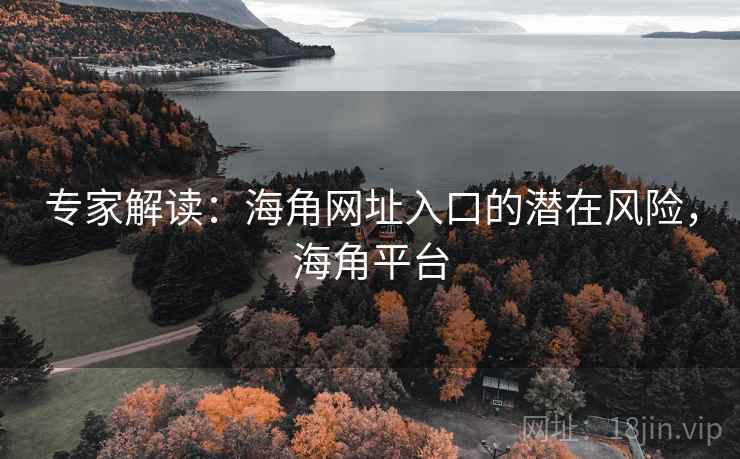 专家解读：海角网址入口的潜在风险，海角平台