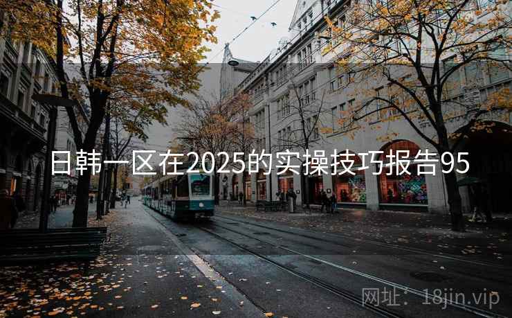 日韩一区在2025的实操技巧报告95