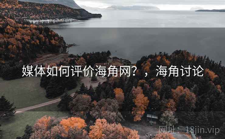 媒体如何评价海角网？，海角讨论