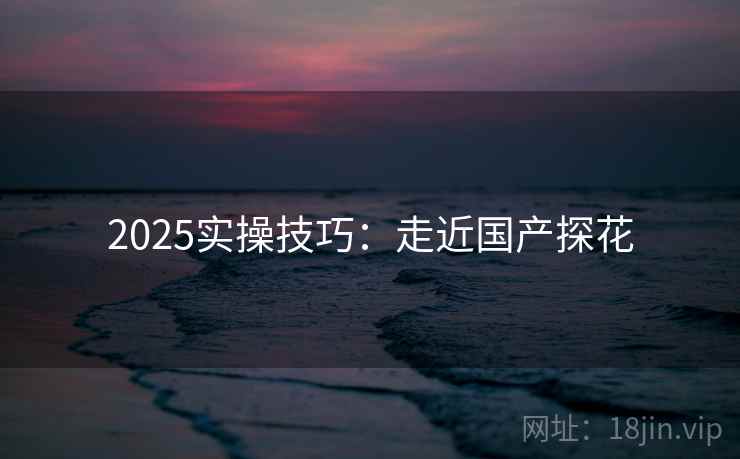 2025实操技巧：走近国产探花