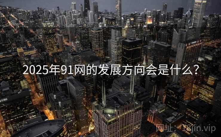 2025年91网的发展方向会是什么？