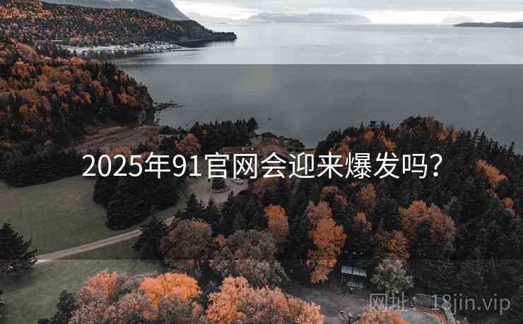 2025年91官网会迎来爆发吗？