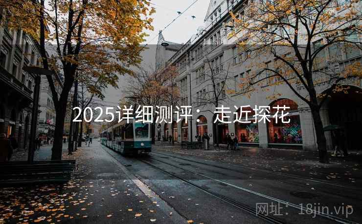 2025详细测评：走近探花