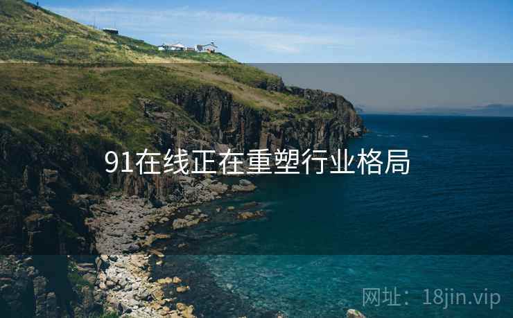 91在线正在重塑行业格局