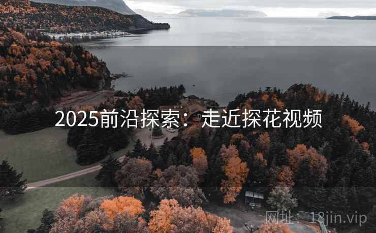 2025前沿探索：走近探花视频