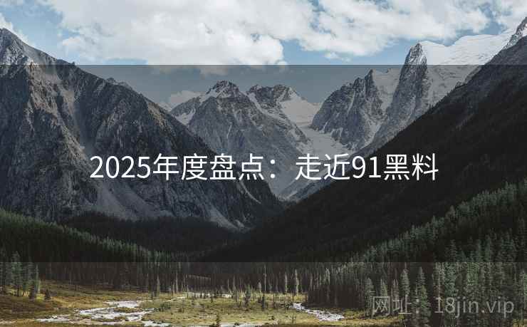 2025年度盘点：走近91黑料