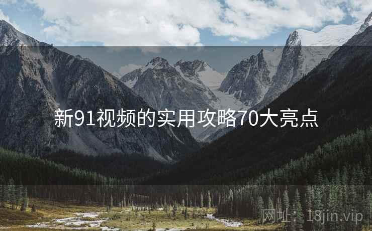 新91视频的实用攻略70大亮点
