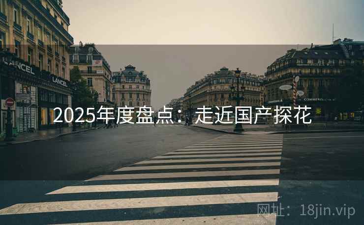 2025年度盘点：走近国产探花