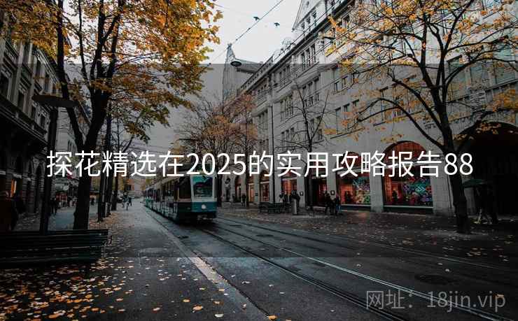 探花精选在2025的实用攻略报告88